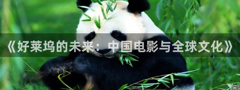 国产精品51视频：《好莱坞的未来：中国电影与全球文化》