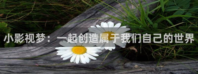 51视频网站：小影视梦：一起创造属于我们自己的世界