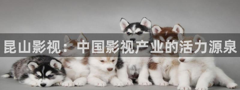 51视频在线视频免费观看：昆山影视：中国影视产业的活力源泉