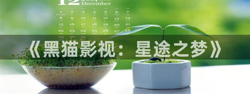 51视频免费观看网站：《黑猫影视：星途之梦》