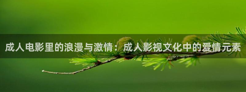 51视频网站入口：成人电影里的浪漫与激情：成人影视文化中的爱情元素